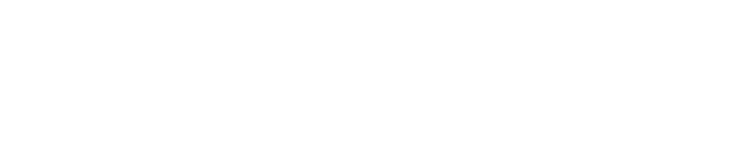 Trelson-Logo-Full-Assessment 8